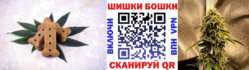 Canna-Cookies марихуана  Купить закладки  Елабуга 