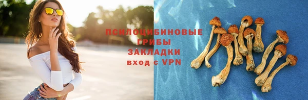 jwh Карпинск