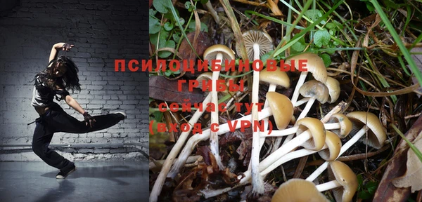крисы Карталы