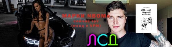 jwh Карпинск