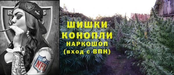гидра Кинешма
