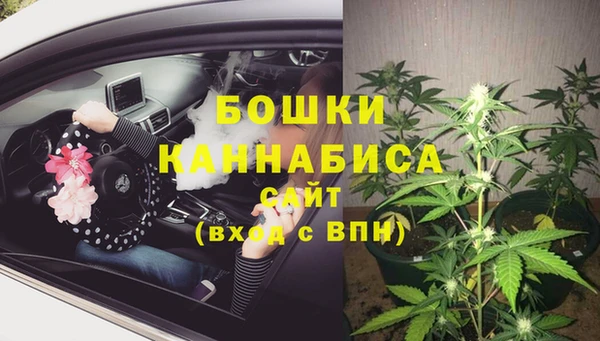 jwh Карпинск