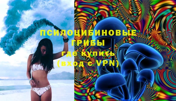 крисы Карталы