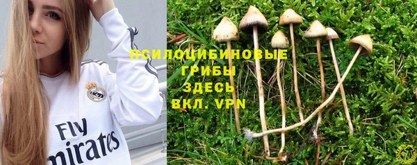 jwh Карпинск